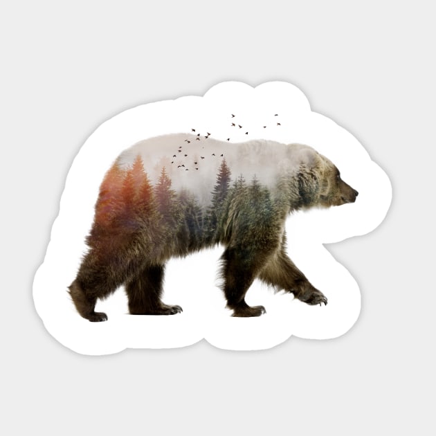 Bear Sticker by SokolSelmani